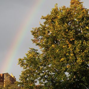 Wallfahrtskirche Schönenberg ; Foto: Johannes Hauf
